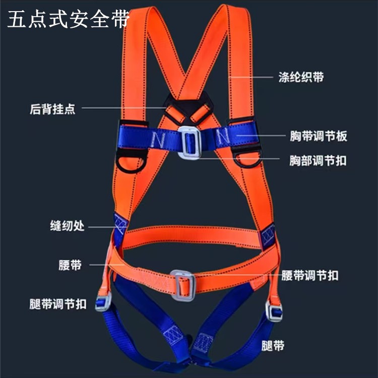 五點式安全帶