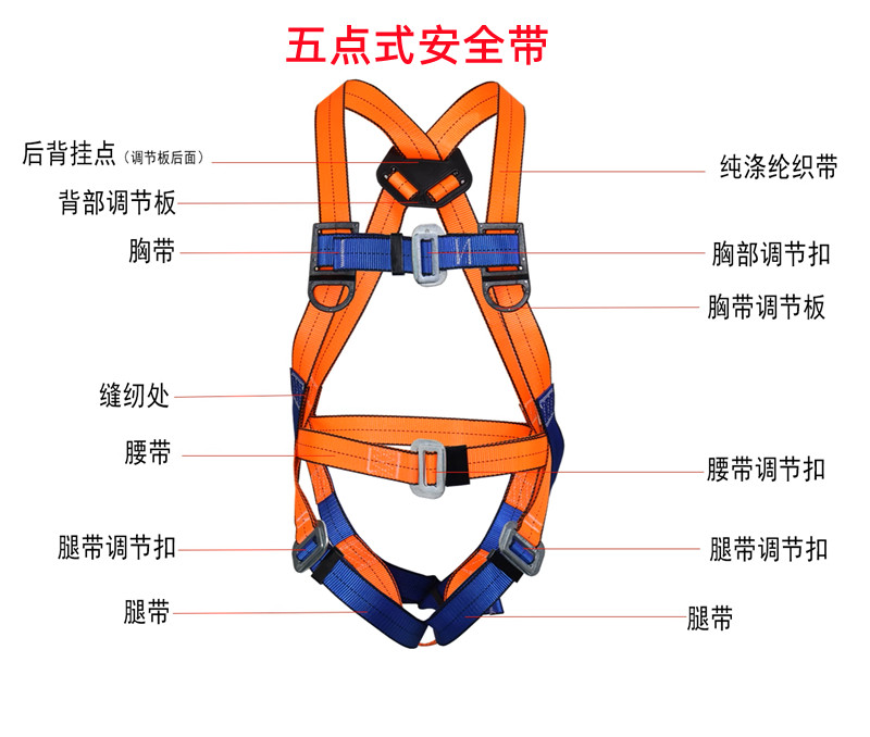 五點式安全帶